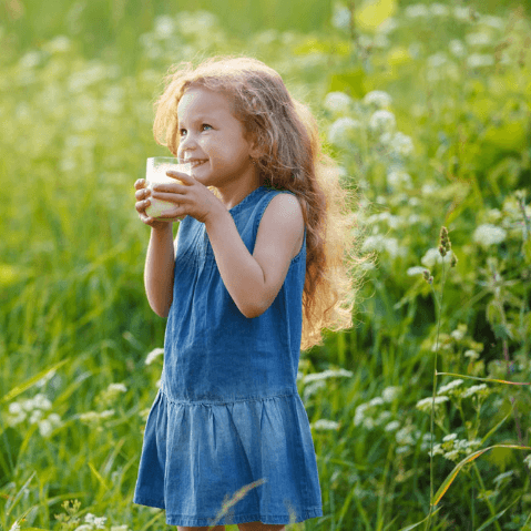 Girl drinking milk in the field